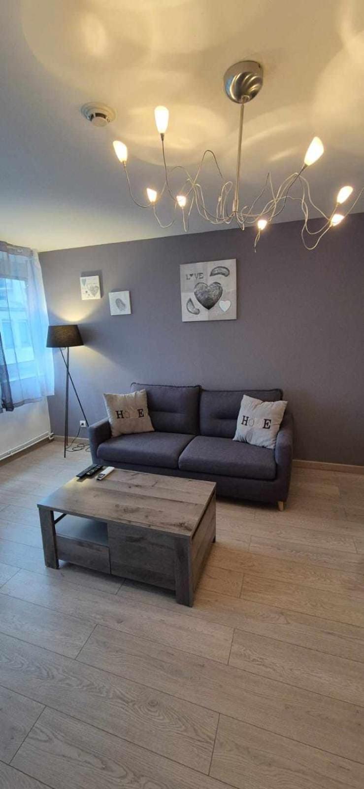 Nouveau !! Appartement Confortable Totalement Renove Avec Parking Gratuit - Hypercentre De Nancy Eksteriør bilde