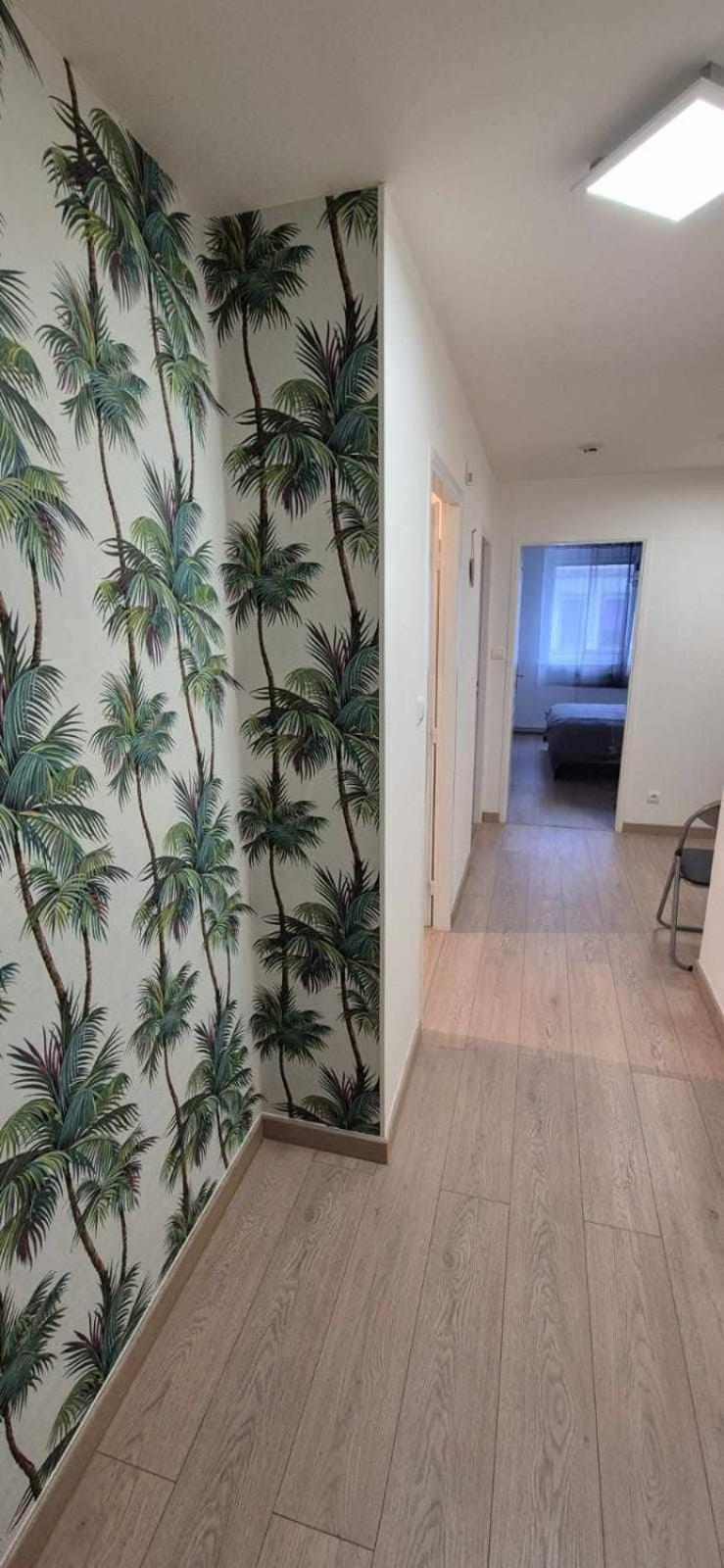 Nouveau !! Appartement Confortable Totalement Renove Avec Parking Gratuit - Hypercentre De Nancy Eksteriør bilde
